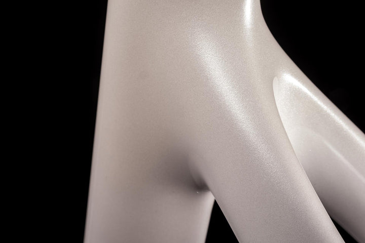 2025 SCYLON FUSELAGE